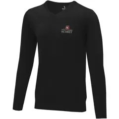 Bild på Stanton v-ringad pullover för män