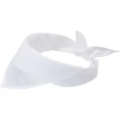 Bild på Heracles bandana