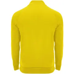 Bild på Epiro långärmad sweatshirt med kvartslång dragkedja för barn