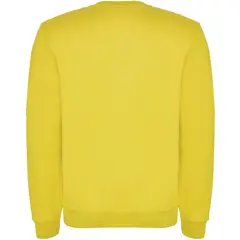 Bild på Clasica unisex tröja med rund hals