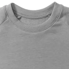 Bild på Men's HD Raglan Sweat