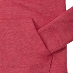 Bild på Ladies HD Hooded Sweat