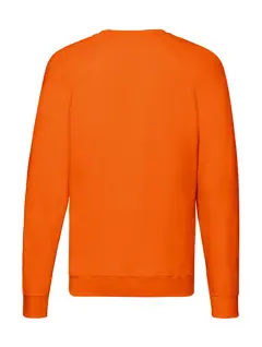 Bild på Lightweight Raglan Sweat