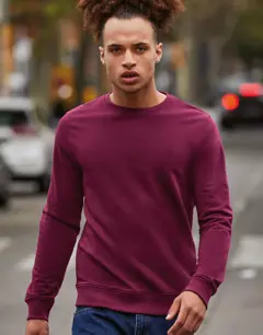 Bild på Organic Inspire Crew Neck
