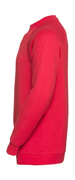 Bild på Classic Sweatshirt Raglan