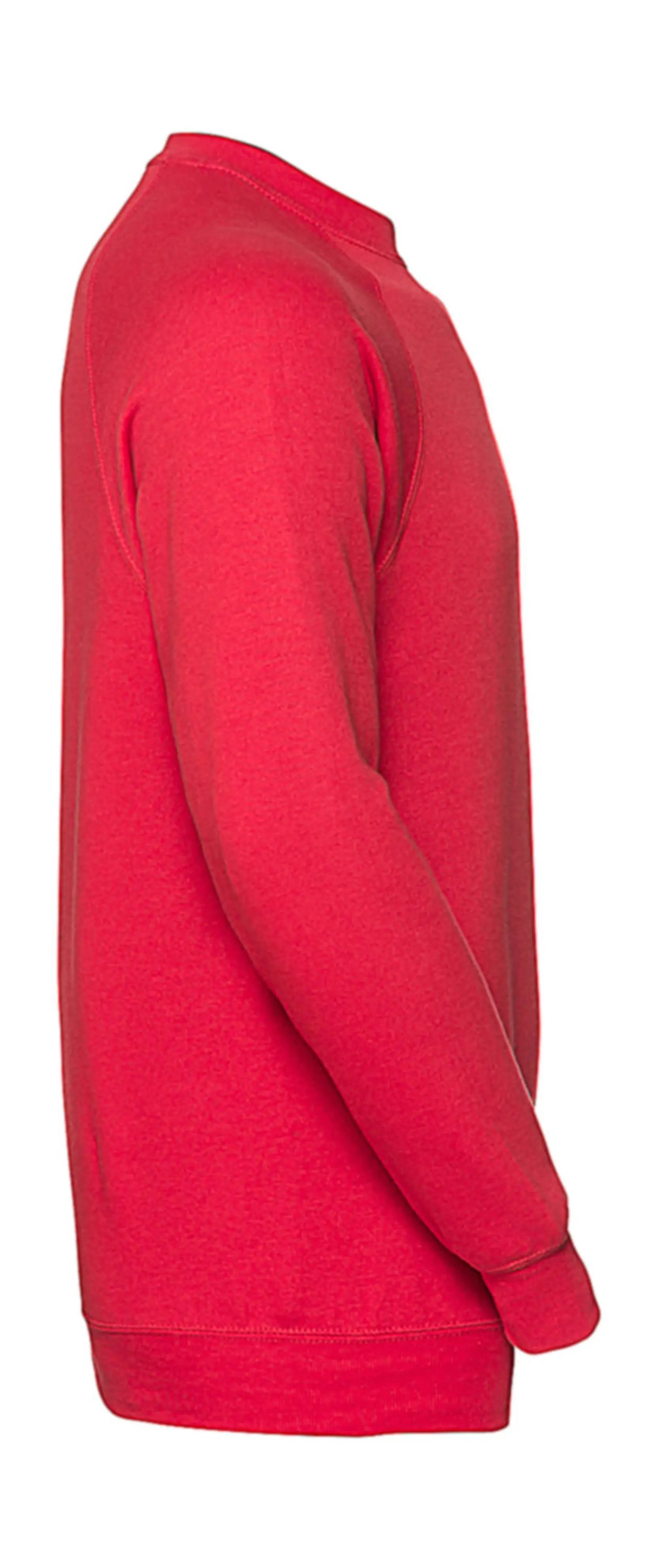 Bild på Classic Sweatshirt Raglan