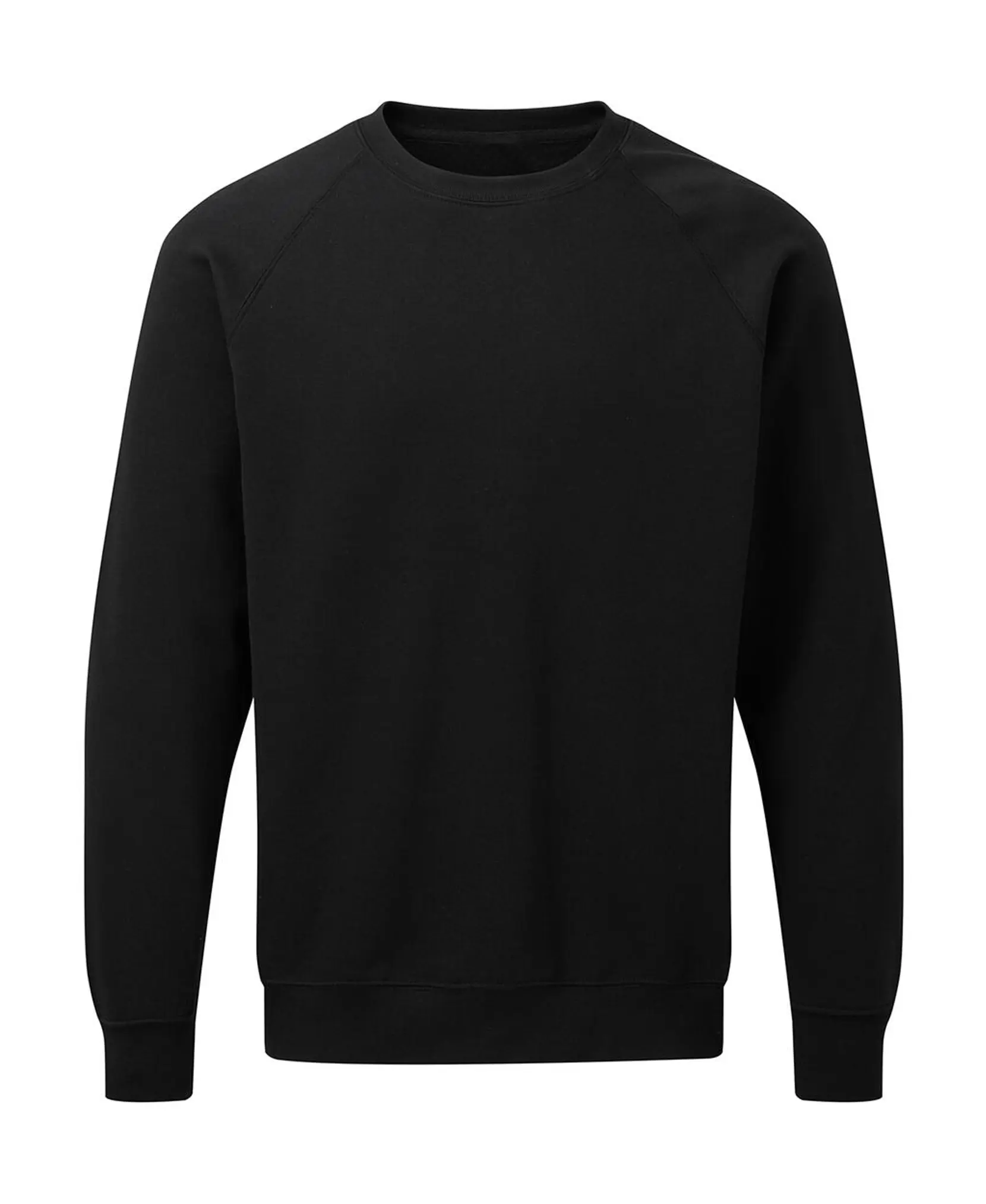 Bild på Raglan Sweatshirt Men