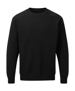 Bild på Raglan Sweatshirt Men