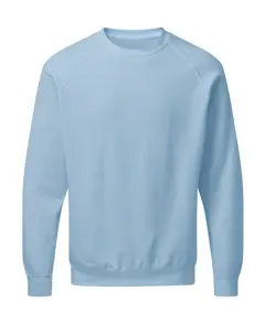 Bild på Raglan Sweatshirt Men