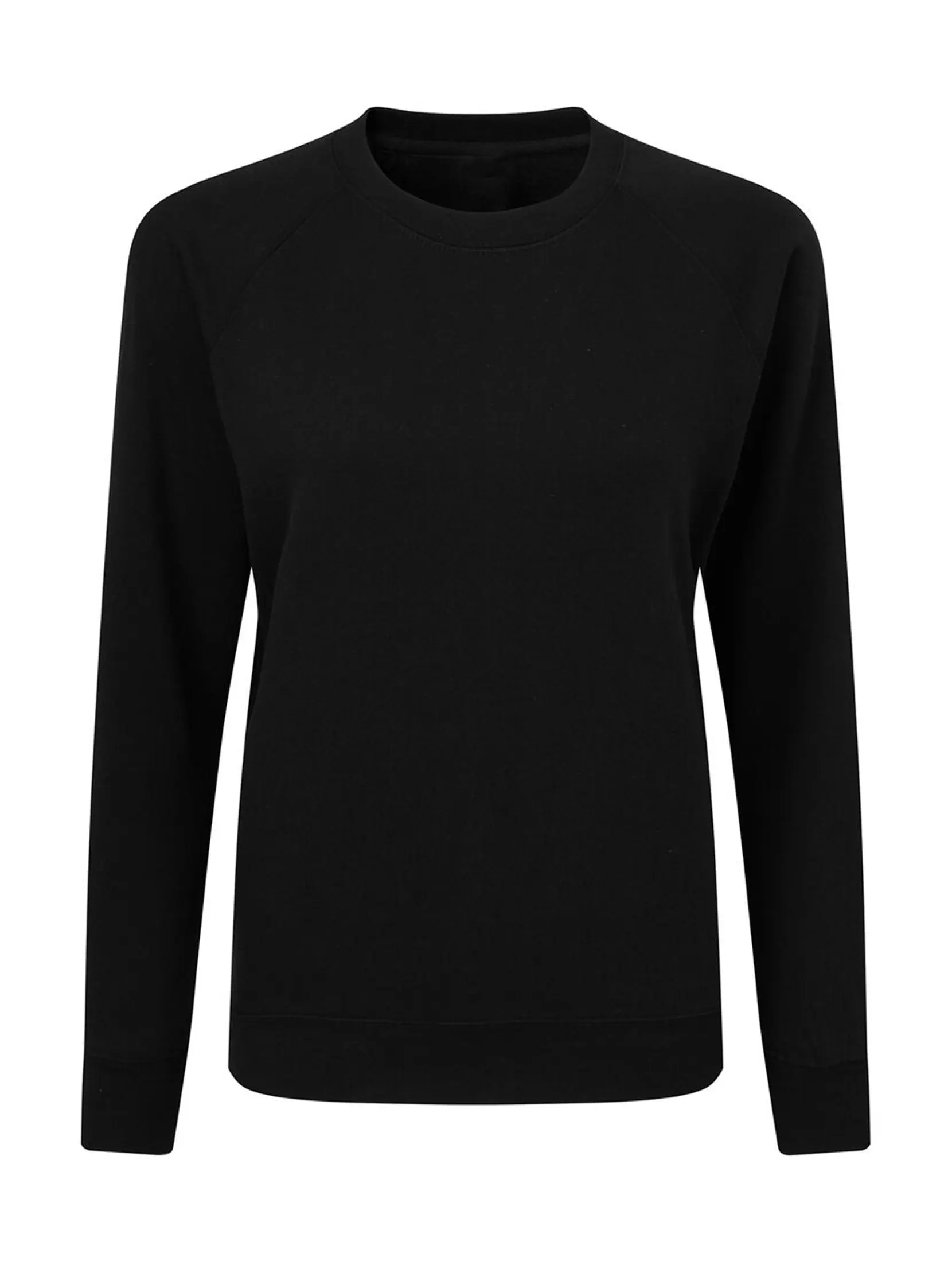 Bild på Raglan Sweatshirt Women