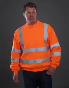 Bild på Fluo Sweatshirt