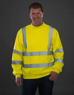 Bild på Fluo Sweatshirt