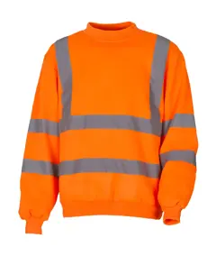 Bild på Fluo Sweatshirt
