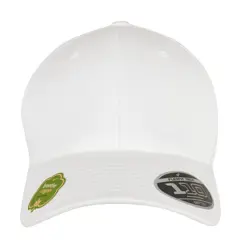 Bild på 110 Organic Cap