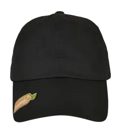 Bild på Recycled Polyester Dad Cap