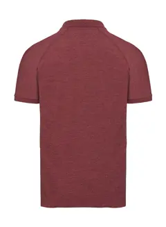 Bild på Men's HD Raglan Polo