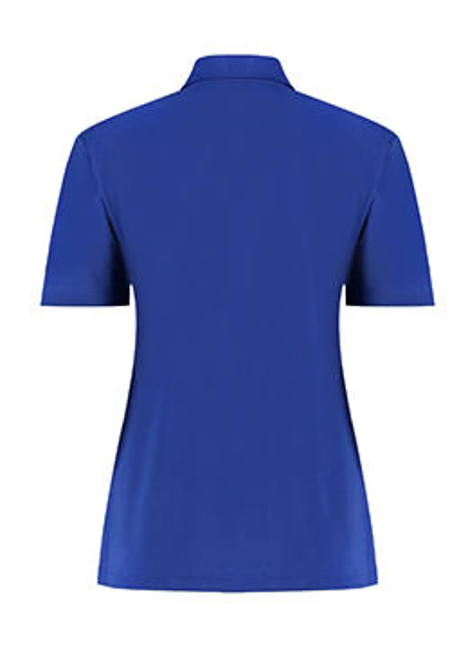 Bild på Women's Regular Fit Workforce Polo