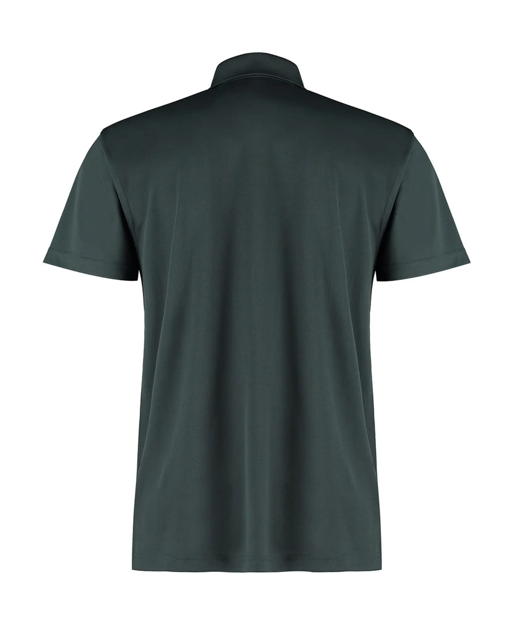 Bild på Regular Fit Cooltex® Plus Micro Mesh Polo
