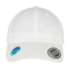 Bild på Ecowash Dad Cap