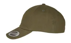 Bild på Ecowash Dad Cap