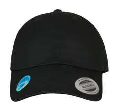 Bild på Ecowash Dad Cap