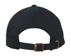 Bild på Low Profile Organic Cotton Cap