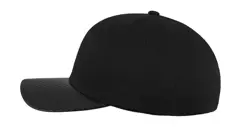 Bild på Carbon Flexfit Cap
