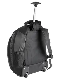 Bild på Carrara II Trolley-Backpack