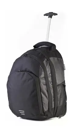Bild på Carrara II Trolley-Backpack