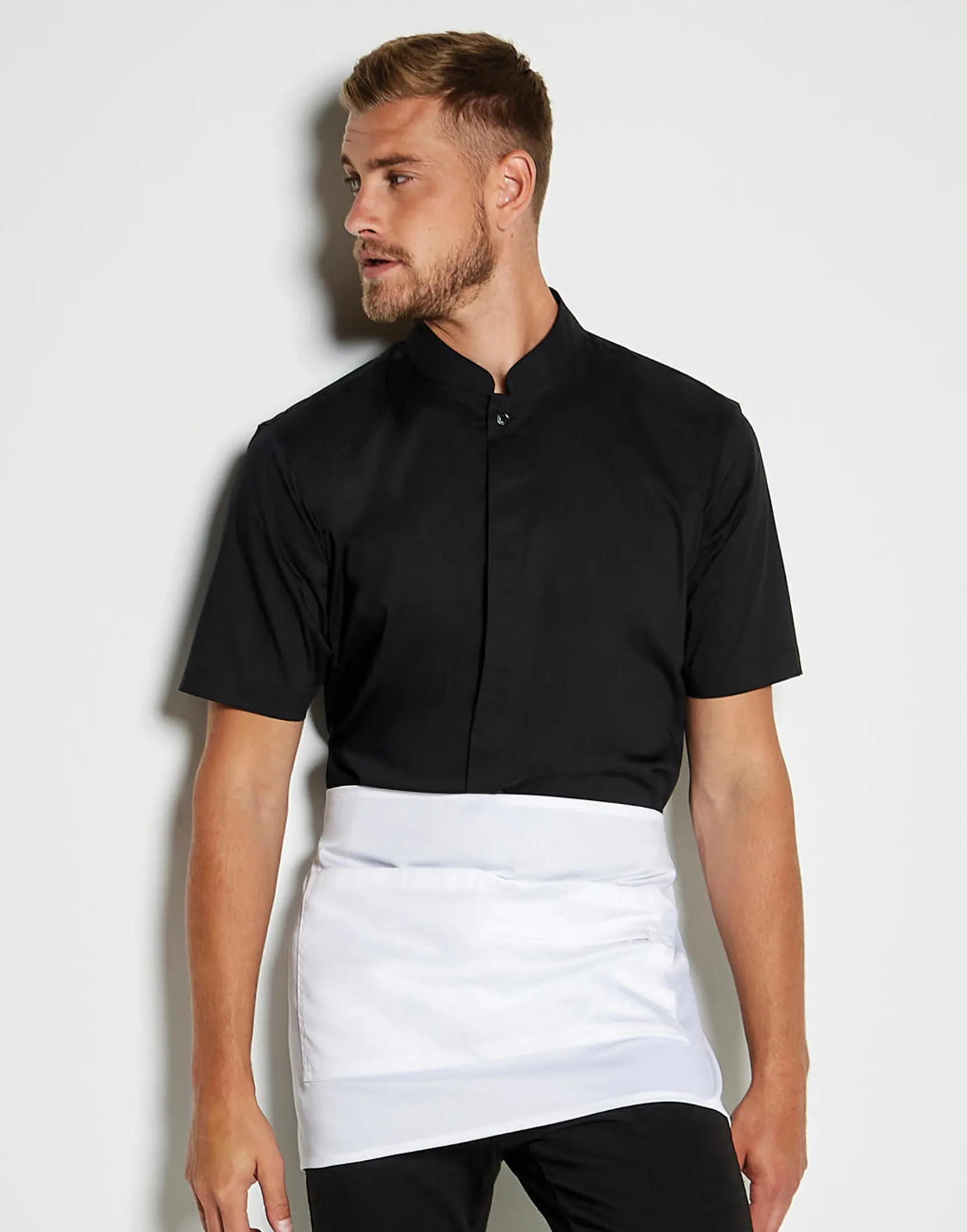 Bild på Tailored Fit Mandarin Collar Shirt SSL