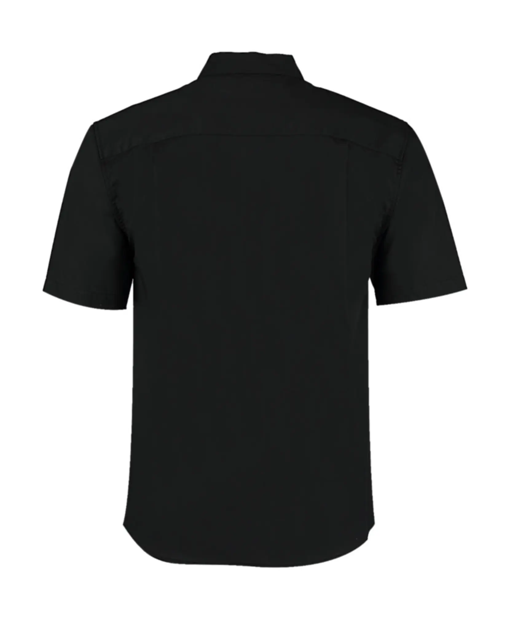 Bild på Tailored Fit Mandarin Collar Shirt SSL