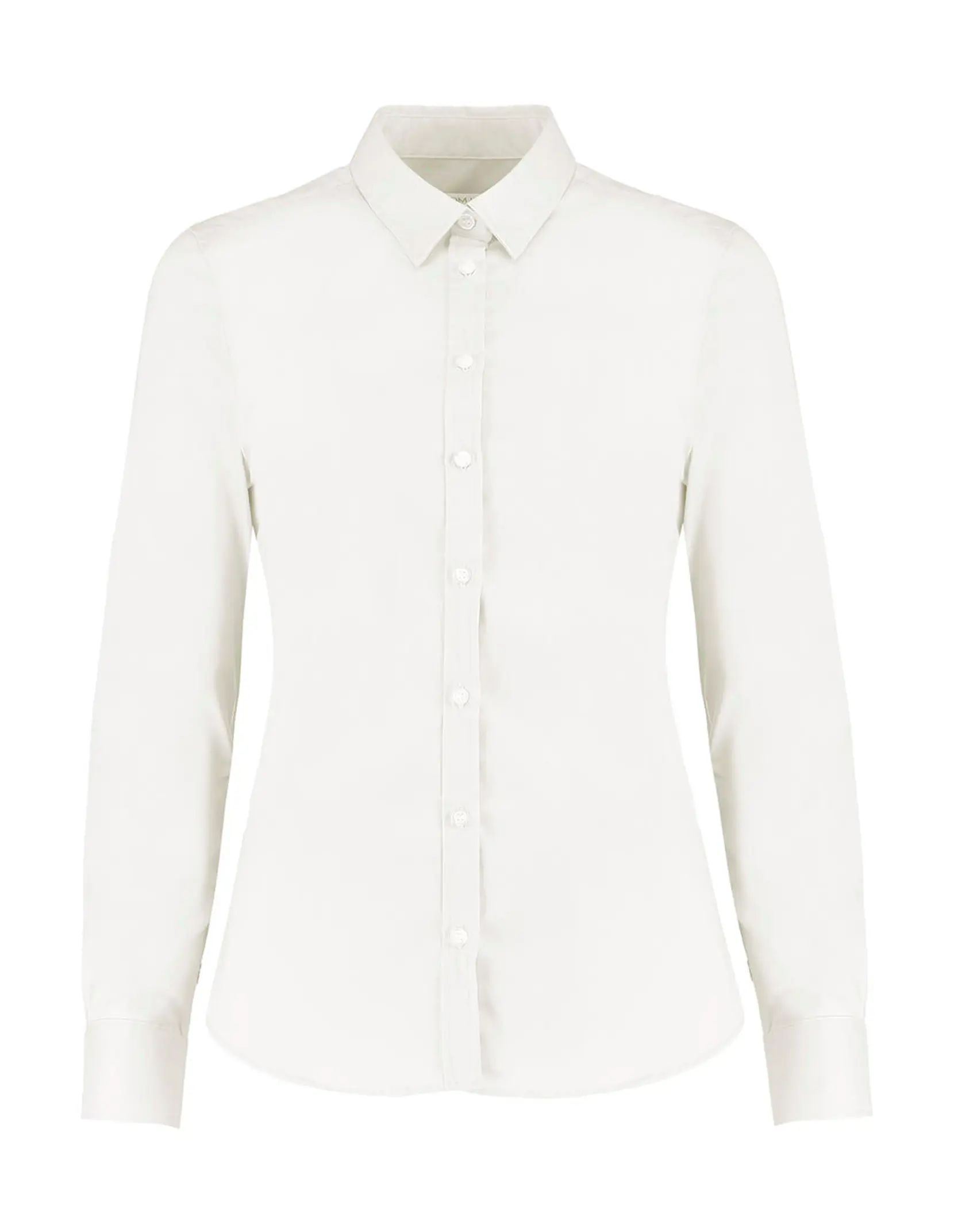 Bild på Women's Tailored Fit Stretch Oxford Shirt LS