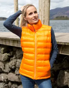 Bild på Ladies' Ice Bird Padded Gilet