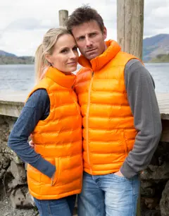 Bild på Ladies' Ice Bird Padded Gilet