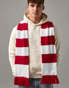 Bild på Stadium Scarf