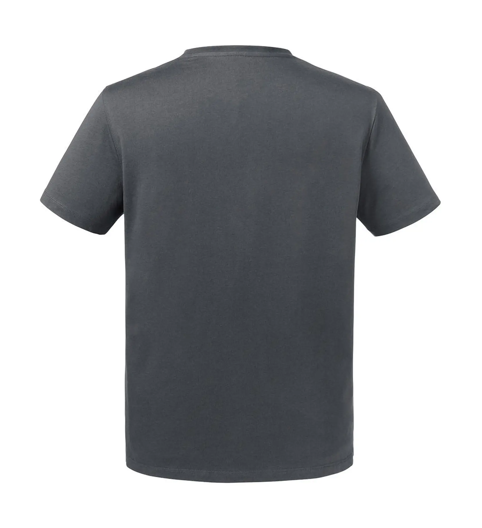 Bild på Men's Pure Organic Heavy Tee