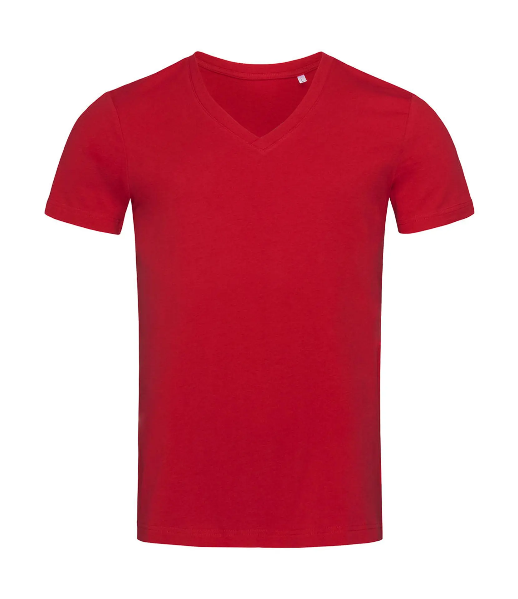 Bild på Organic James V-neck Men