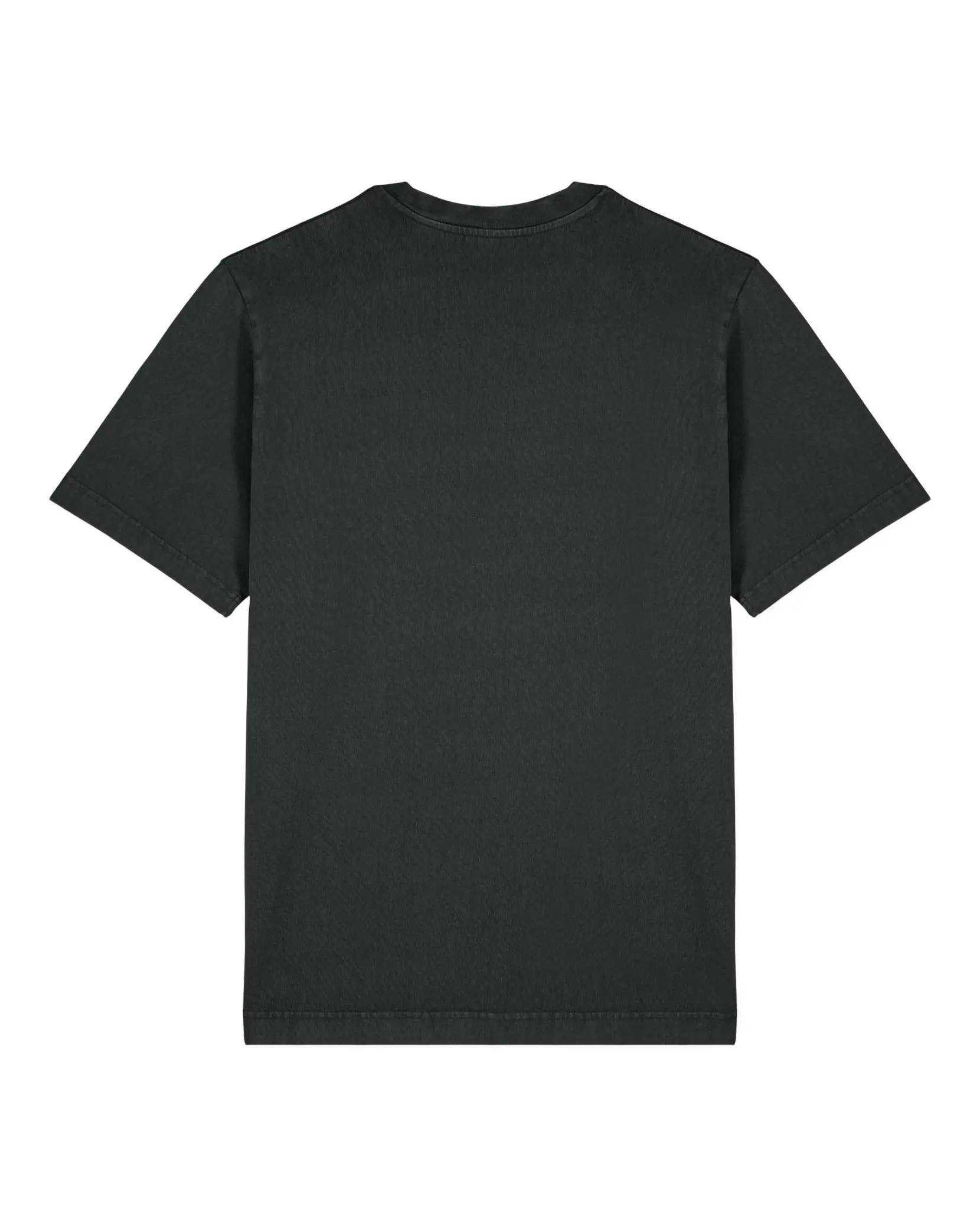 Bild på Freestyler Vintage The unisex garment dyed heavy weigth t-shirt