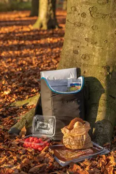 Bild på Explorer outdoor kylryggsäck
