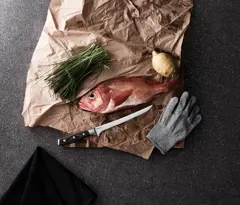 Bild på VINGA Kaiser filéset