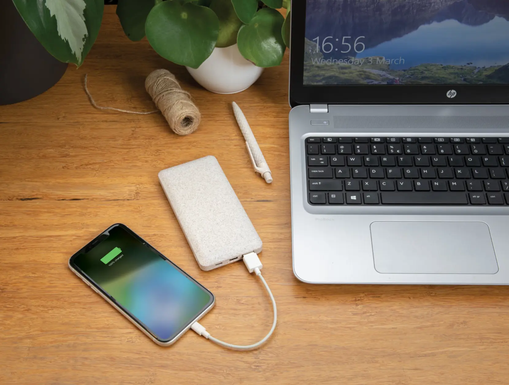 Bild på Vetestrå 10.000 mAh powerbank