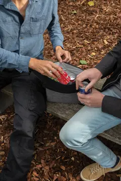 Bild på Tvåtonig kylväska
