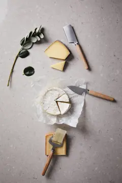 Bild på VINGA Retro cheese set