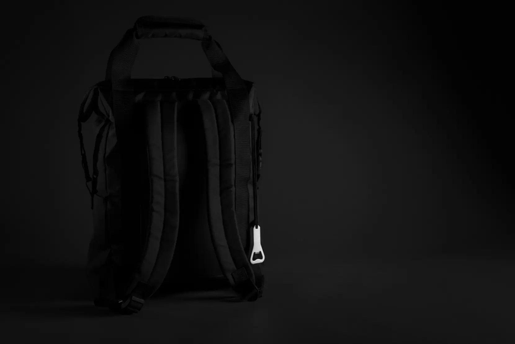 Bild på Swiss Peak XXL kylryggsäck PVC-fri