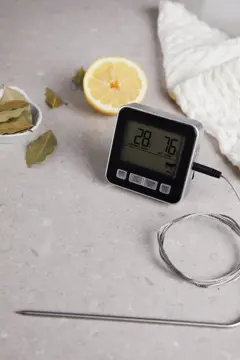 Bild på VINGA Hays digital kökstermometer