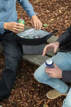 Bild på Tvåtonig kylväska