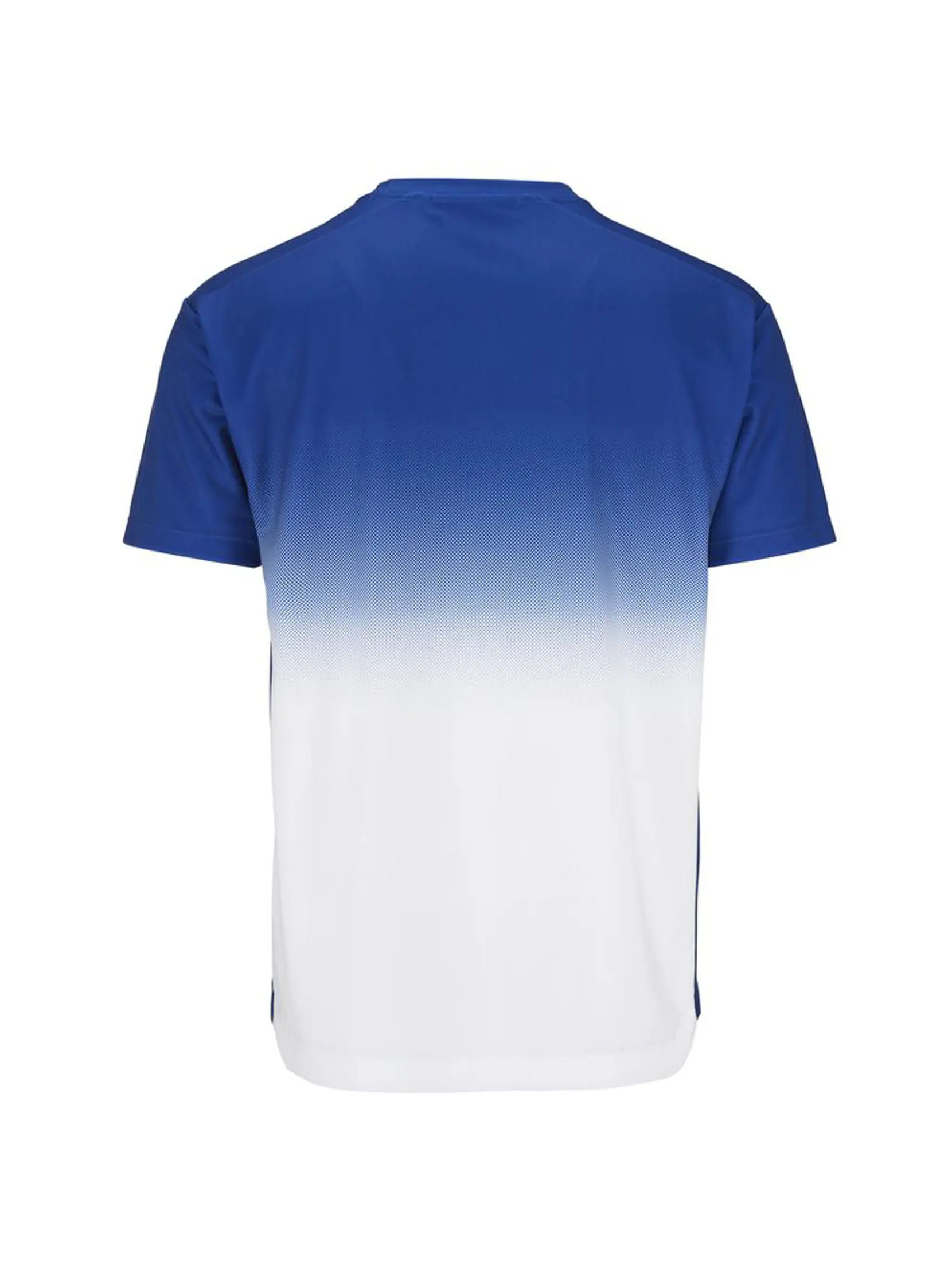 Bild på Evolve 2.0 Structured Graphic Jersey M