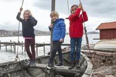 Bild på Basic Softshell Jacket Junior