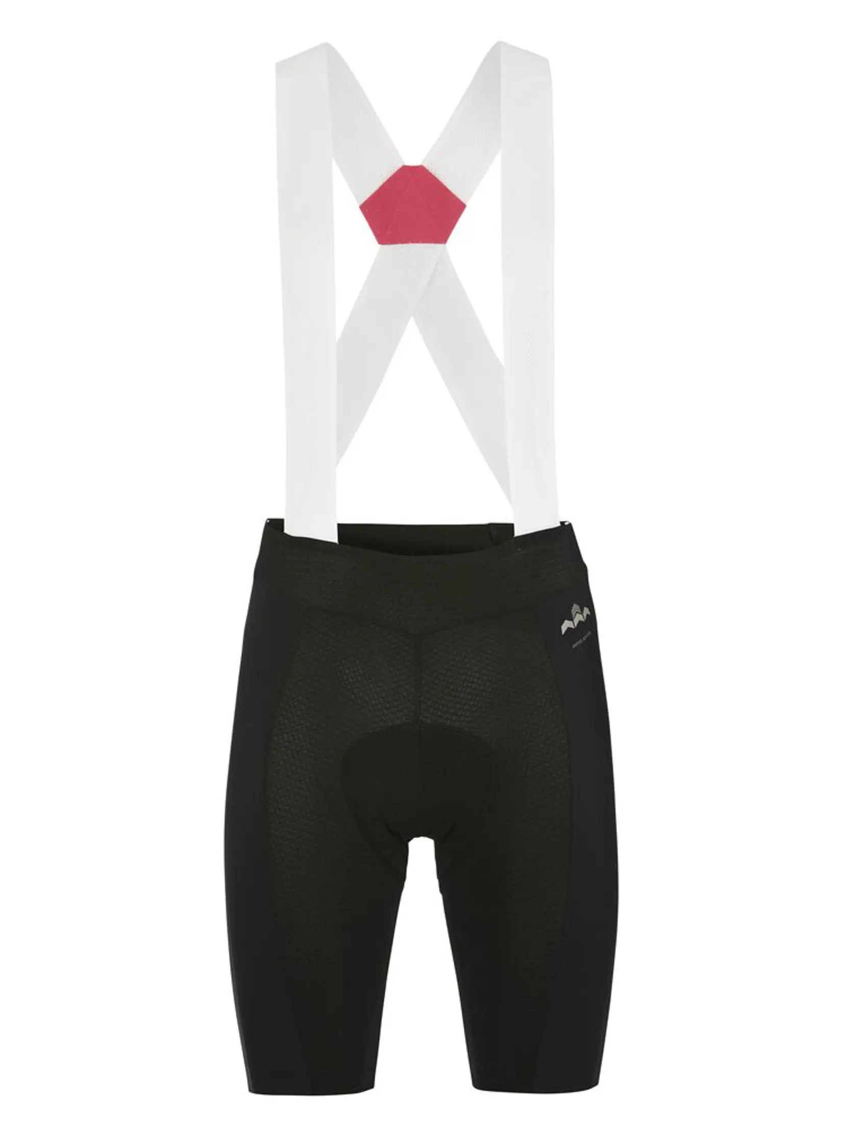 Bild på Pro Aero Bib Shorts W