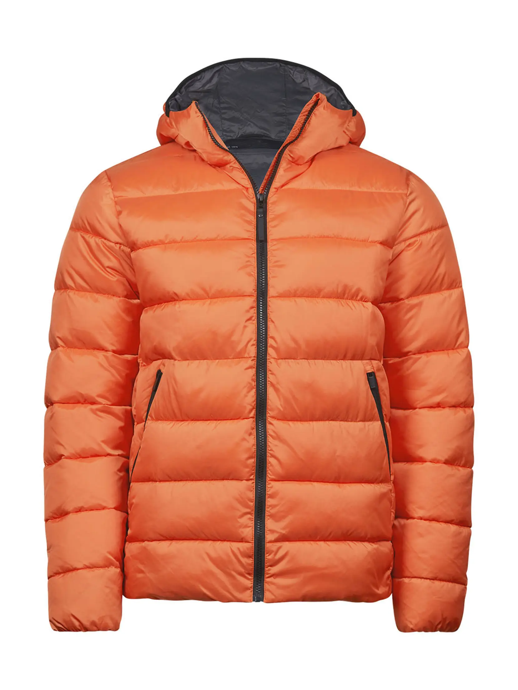 Bild på Lite Hooded Jacket